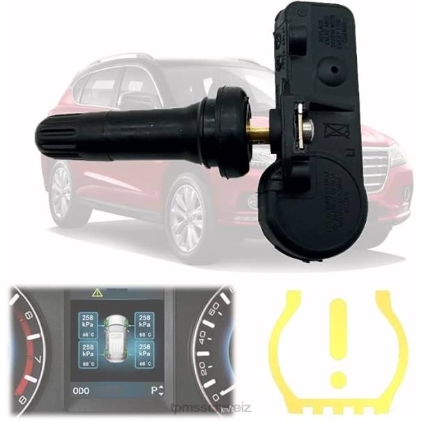 TPMS Haval/GWM der Drucksensor 3641100xku00a 433 MHz - TPMS kaufen 8X0J1692