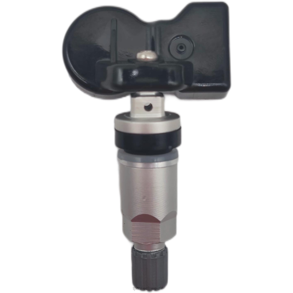 TPMS Saic Datsun Reifendrucksensor c00104713 - TPMS sensor kaufen 8X0J1293